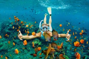 You also can try scuba diving at Bai Xep area