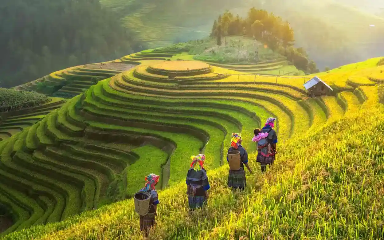 Bac Ha Market & Sapa Tour from Hanoi