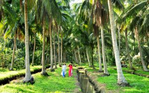 Best Classic Mekong Delta Full Day Tour, Experience Like a Local