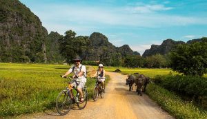 Best Full Day Visit Top Attractions in Ninh Binh from Hanoi (1)