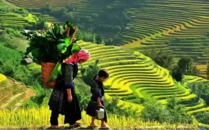 Sapa amazing scenery and ethnic people