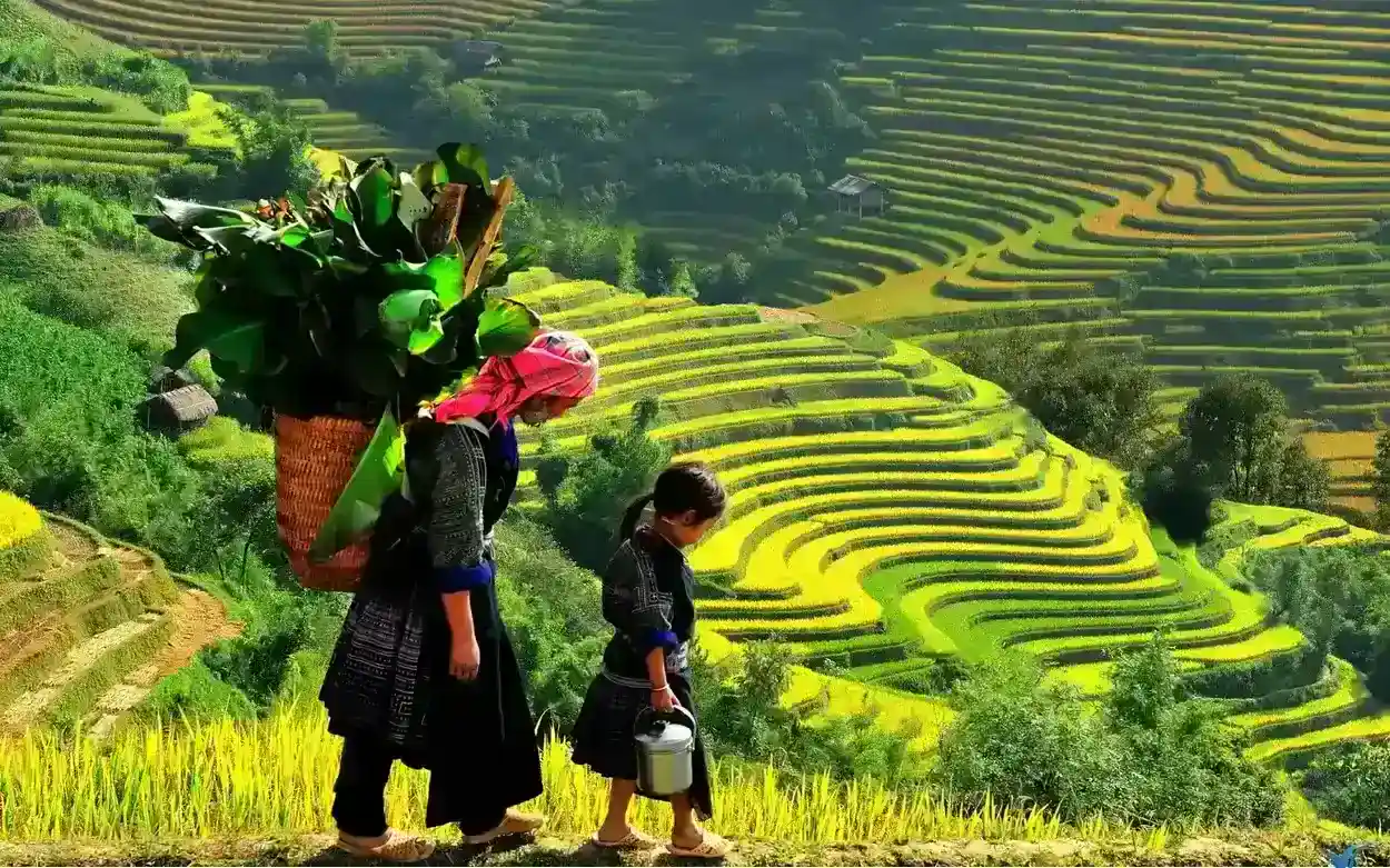 Sapa amazing scenery and ethnic people
