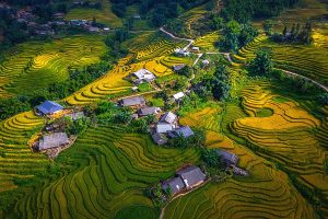 Best 5-Day Explore Hanoi to Lan Ha Bay Cruise, Sapa Trek & Fansipan