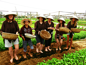 Tra Que Vegetable Village