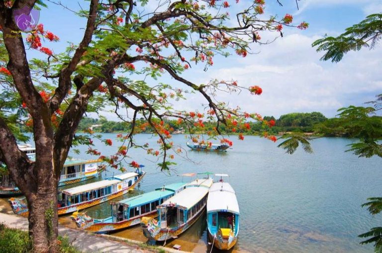 Da Nang to Hue: Best Ways to Travel, What to See & Tips 2026