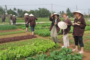 Choose Hoi An if you prefer slowing down and enjoying the journey