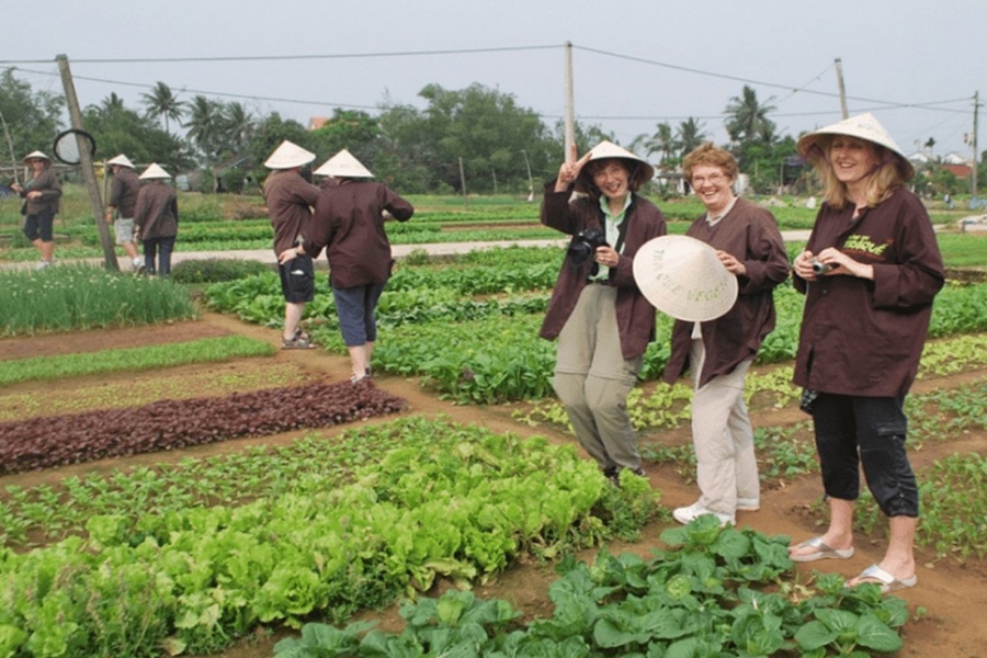Choose Hoi An if you prefer slowing down and enjoying the journey