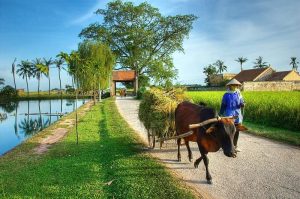 Hanoi Heritage Tour