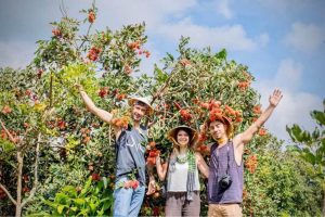 Best Classic Mekong Delta Full Day Tour, Experience Like a Local