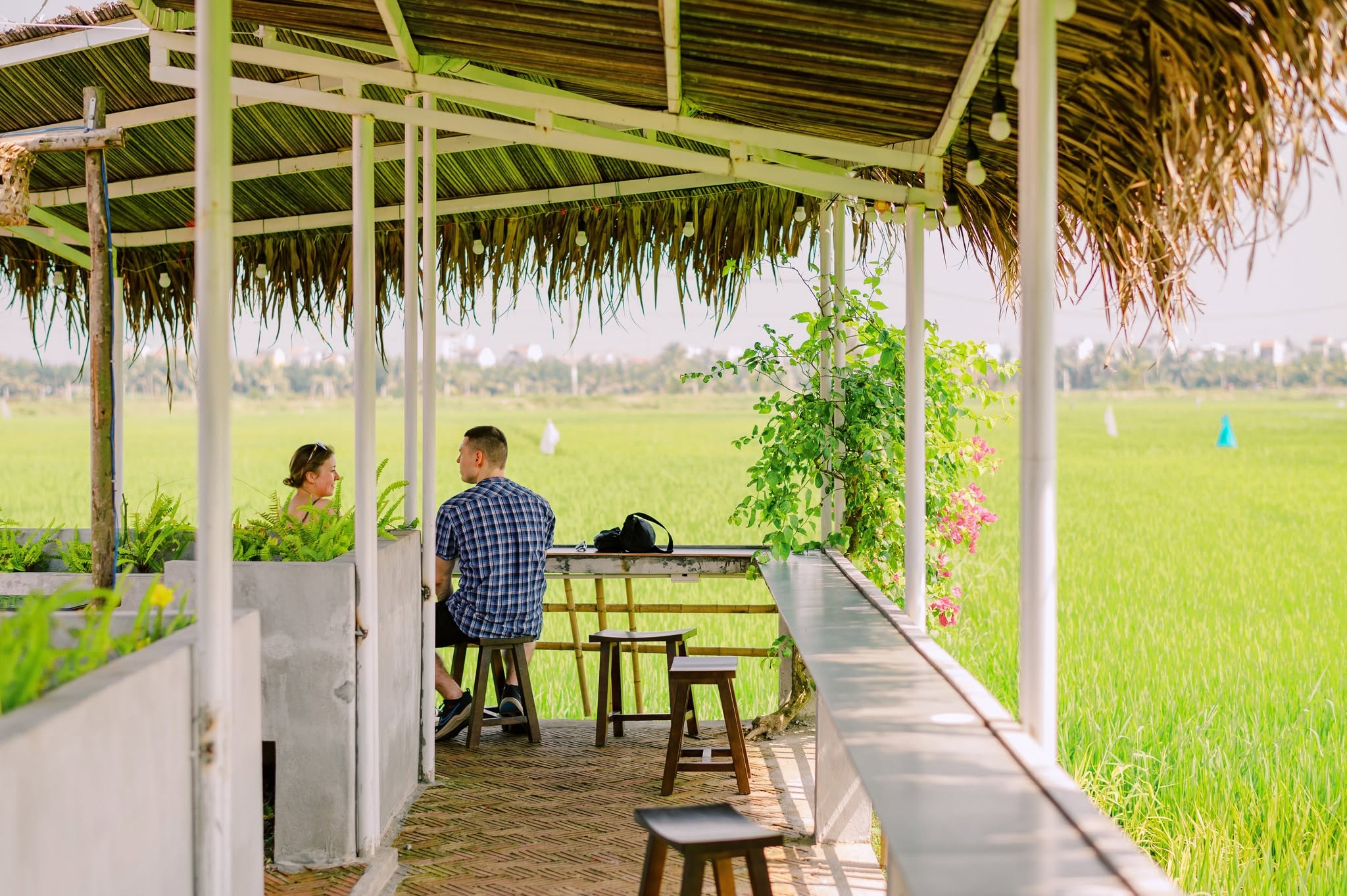Hoi An coffee shops are famous for peacefully green nature view like that